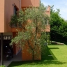 ../immagini/Giardini/Giardini_e_terrazzi/Una_villa_a_360_sulla_citt&agraveograndi